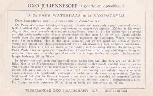 1954 Liebig/Oxo Uitheemse Knaagdieren (Unusual Rodents) (Dutch Text) (F1597, S1600) #5 De Paka Waterhaas en de Myopotamus Back