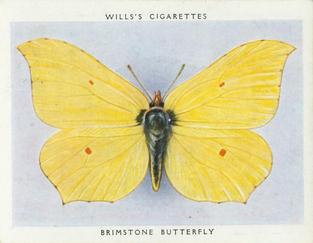 1938 Wills's Butterflies & Moths #4 Brimstone Butterfly Front