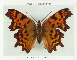 1938 Wills's Butterflies & Moths #6 Comma Butterfly Front