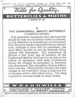 1938 Wills's Butterflies & Moths #8 Camberwell Beauty Butterfly Back