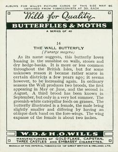 1938 Wills's Butterflies & Moths #14 Wall Butterfly Back