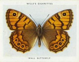 1938 Wills's Butterflies & Moths #14 Wall Butterfly Front