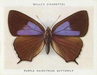 1938 Wills's Butterflies & Moths #16 Purple Hairstreak Butterfly Front