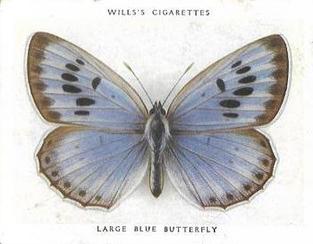 1938 Wills's Butterflies & Moths #18 Large Blue Butterfly Front