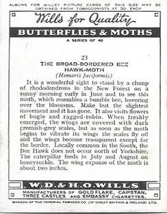 1938 Wills's Butterflies & Moths #23 Broad-Boarded Bee Hawk-Moth Back