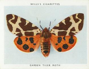 1938 Wills's Butterflies & Moths #26 Garden Tiger Moth Front