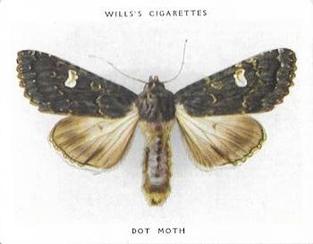 1938 Wills's Butterflies & Moths #29 Dot Moth Front