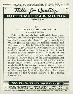 1938 Wills's Butterflies & Moths #30 Orange Sallow Moth Back