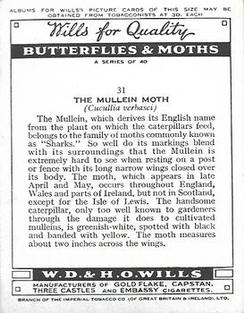 1938 Wills's Butterflies & Moths #31 Mullein Moth Back