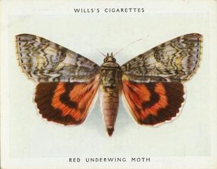 1938 Wills's Butterflies & Moths #32 Red Underwing Moth Front