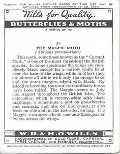 1938 Wills's Butterflies & Moths #35 Magpie Moth Back