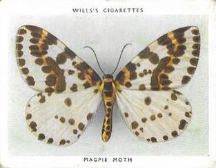 1938 Wills's Butterflies & Moths #35 Magpie Moth Front