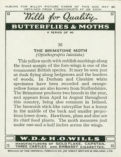 1938 Wills's Butterflies & Moths #36 Brimstone Moth Back