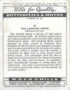 1938 Wills's Butterflies & Moths #40 Leopard Moth Back