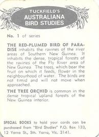 1959 Tuckfield's Australiana Bird Studies #1 Red-Plumed Bird of Paradise Back