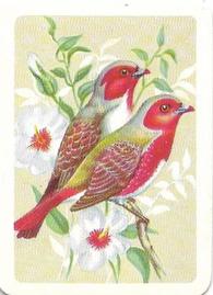 1959 Tuckfield's Australiana Bird Studies #6 Crimson Finch Front