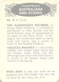 1959 Tuckfield's Australiana Bird Studies #8 Magnificent Riflebird/Molucca Bramble Back