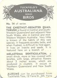 1959 Tuckfield's Australiana Bird Studies #14 Chestnut-Breasted Quail Thrush Back