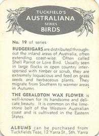 1959 Tuckfield's Australiana Bird Studies #19 Budgerigah Back