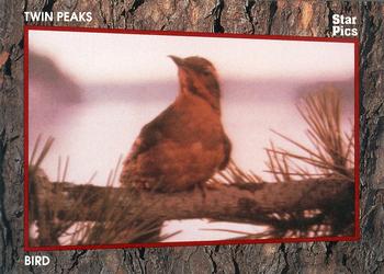1991 Star Pics Twin Peaks - Limited Edition #3 Bird Front