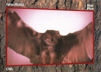 1991 Star Pics Twin Peaks - Limited Edition #65 Owl Front