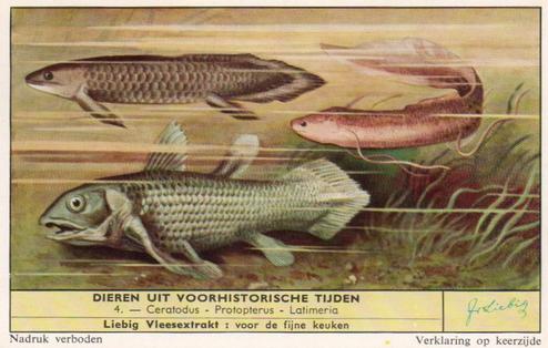 1959 Liebig Dieren uit Voorhistorische Tijden (Living Prehistoric Animals) (Dutch Text) (F1701, S1705) #4 Ceratodus - Protopterus - Latimeria Front