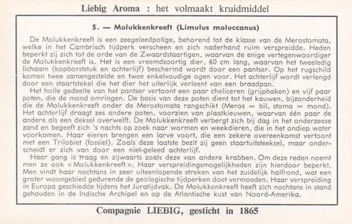 1959 Liebig Dieren uit Voorhistorische Tijden (Living Prehistoric Animals) (Dutch Text) (F1701, S1705) #5 Molukkenkreeft (Limulus moluccanus) Back