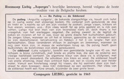 1953 Liebig Enkele Zoetwatervissen uit Onze Streken (Freshwater Fish) (Dutch Text) (F1574, S1573) #3 De Paling - de Sidderaal Back