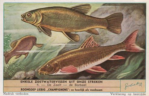 1953 Liebig Enkele Zoetwatervissen uit Onze Streken (Freshwater Fish) (Dutch Text) (F1574, S1573) #4 De Zeelt - de Barbeel Front