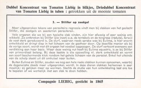 1960 Liebig Regressierverschijnselen Bij De Parasieten (Parasites and their Hosts) (Dutch Text) (F1738, S1729) #3 Stilifer op Zeeegel Back