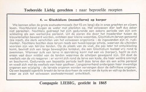1960 Liebig Regressierverschijnselen Bij De Parasieten (Parasites and their Hosts) (Dutch Text) (F1738, S1729) #4 Glochidium (mossellarve) op karper Back