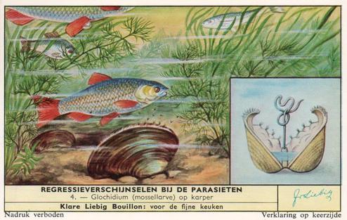 1960 Liebig Regressierverschijnselen Bij De Parasieten (Parasites and their Hosts) (Dutch Text) (F1738, S1729) #4 Glochidium (mossellarve) op karper Front