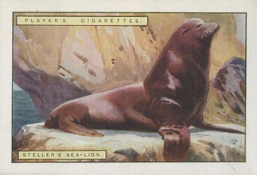 1924 Player's Natural History (Large 2nd series) #11 Steller’s Sea-Lion Front