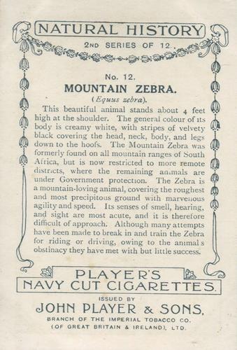 1924 Player's Natural History (Large 2nd series) #12 Mountain Zebra Back