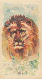1920 Weber Animal Pictures Series A (D8) #NNO Lion Front