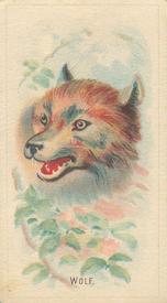 1920 Weber Animal Pictures Series A (D8) #NNO Wolf Front