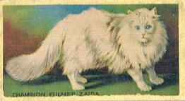 1925 Cowan’s Noted Cats (V17) #1 Champion Fulmer Zaida Front