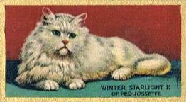 1925 Cowan’s Noted Cats (V17) #19 Winter Starlight II Front