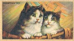 1925 Cowan’s Noted Cats (V17) #20 Tommy And Pet Front