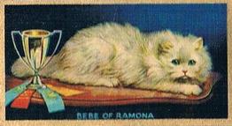 1925 Cowan’s Noted Cats (V17) #22 Bebe Of Ramona Front