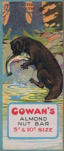 1920 Cowan’s Chocolates Animals (V2) #17 Otter Front