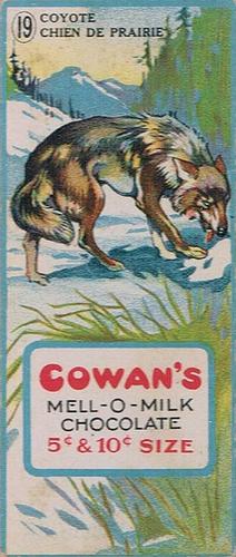 1920 Cowan’s Chocolates Animals (V2) #19 Coyote Front