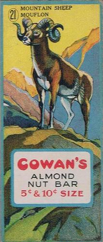 1920 Cowan’s Chocolates Animals (V2) #21 Mountain Sheep Front