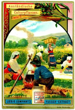 1898 Liebig Ausländische Culturpflanzen (Plants Grown in Warm Climates) (German Text) (F565, S566) #NNO Maize Front