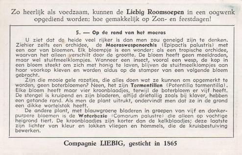 1950 Liebig Met Open Ogen op de Heide (Plant and Animal life on the Heath) (Dutch Text) (F1509, S1511) #5 Op de rand van het moeras Back