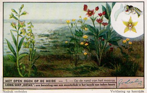 1950 Liebig Met Open Ogen op de Heide (Plant and Animal life on the Heath) (Dutch Text) (F1509, S1511) #5 Op de rand van het moeras Front