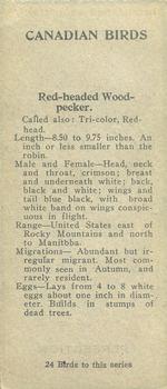 1920 Cowan’s Canadian Birds (V9) #NNO Red-Headed Woodpecker Back