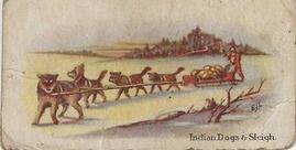 1925 Willards Chocolate Indians (V101) #10 Indian Dogs And Sleigh Front