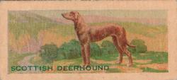 1920 Robertson’s Dog Series (V125) #7 Scottish Deerhound Front
