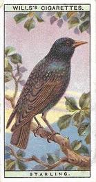 1915 Wills's British Birds #1 Starling Front